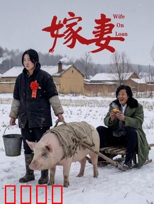 嫁妻：被卖新娘的逆袭