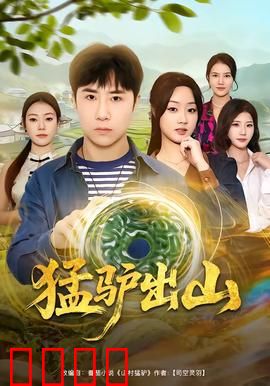 猛驴出山：逆袭之路