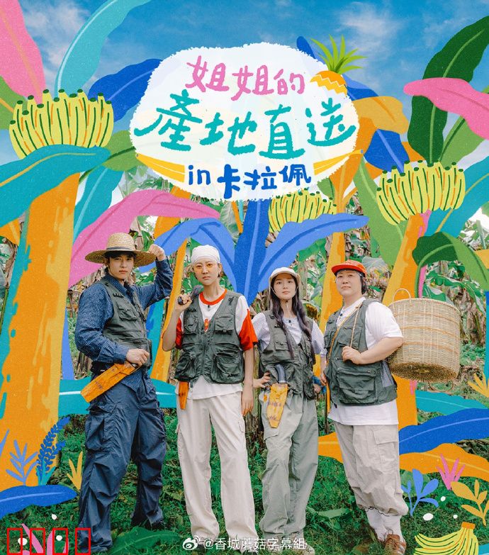 姐姐家的产地直送3：爱与美食