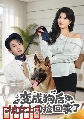 变成狗后，被女上司捡回家了：意外同居生活