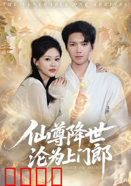 仙尊降世沦为上门郎：至尊归来