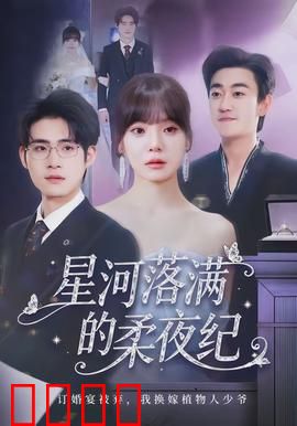 星河落满的柔夜纪：星际追爱