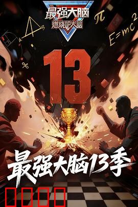 最强大脑 第十三季：脑力巅峰对决