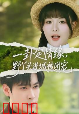 一卦定情缘，野丫头进城被团宠：命运逆转，甜宠来袭
