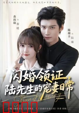 闪婚领证，陆先生的宠妻日常：先婚后爱超甜