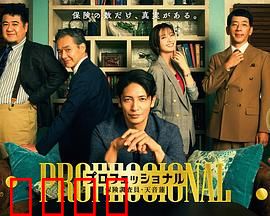 专业人士：铁血复仇