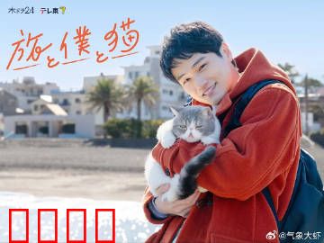 旅行和我和猫：流浪的温暖