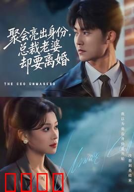 聚会亮出身份，总裁老婆却要离婚：身份揭秘引危机