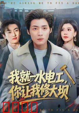 我就一水电工，你让我修大坝：逆袭水坝王