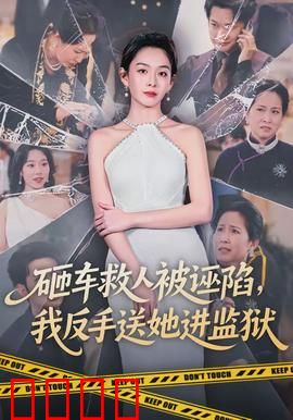 砸车救人被诬陷，我反手送她进监狱：绝地反杀