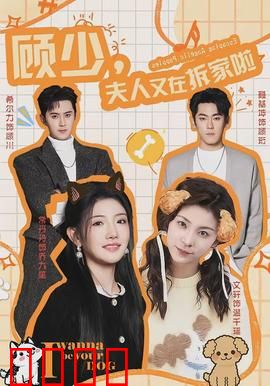 顾少，夫人又在拆家啦：霸总追妻路