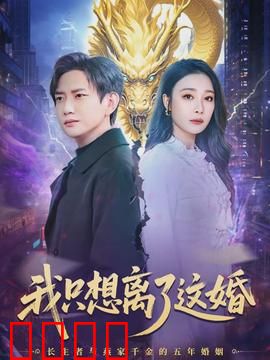 《离婚风暴：爱恨交织的法庭战
