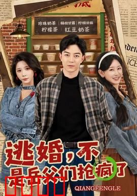 逃婚，不，是岳父们抢疯了：多爹争女记