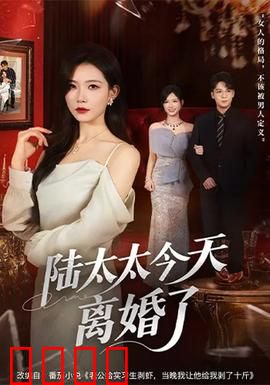 陆太太今天离婚了：霸道总裁追妻火葬场