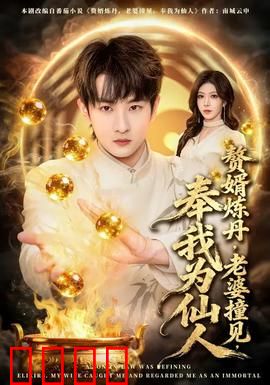 赘婿炼丹，老婆撞见，奉我为仙人：逆袭修仙
