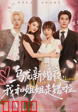 乌龙新婚夜，我和姐姐走错啦：搞笑婚礼乌龙