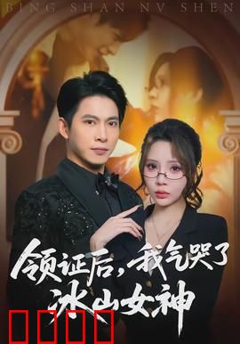 领证后，我气哭了冰山女神：先婚后爱逆袭