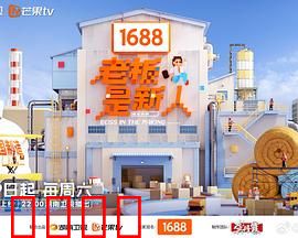 老板是新人：菜鸟逆袭