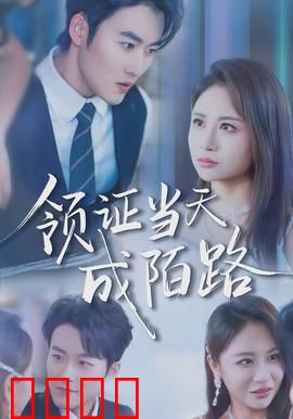 领证当天成陌路：闪婚闪离的真相