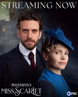 斯嘉丽小姐探案集第六季：终极谜局