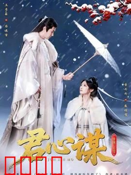 君心谋：步步为营的深情