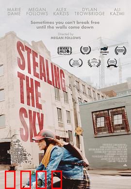 窃取天空：记忆的代价