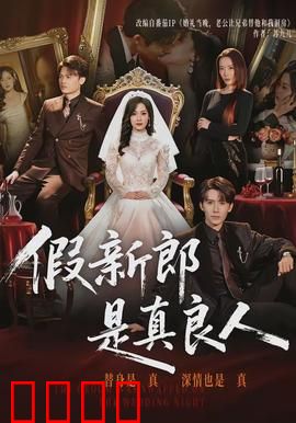 假新郎是真良人：真假夫君的秘密