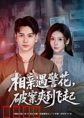 相亲遇警花，破案爽到飞起：爆笑甜爽