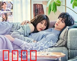 如果不是本命就好了：真爱挑战命运