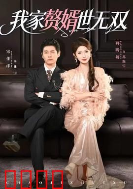 我家赘婿世无双：霸道赘婿逆袭