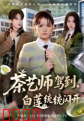 茶艺师驾到白莲统统闪开：逆袭豪门