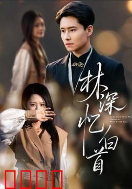 林深忆白首：错失的时光