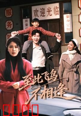 到此飞鸟不相逢：错失的归途