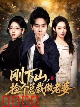 刚下山捡个总裁做老婆：绝世高手