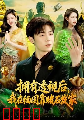 拥有透视后，我在缅国靠赌石发家：逆袭人生