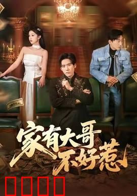 《大哥归来：重出江湖