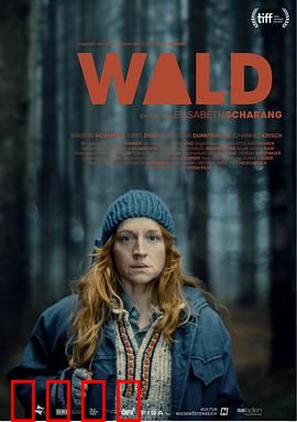 走出丛林：野性回归