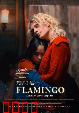 弗拉明戈的神秘眼神：舞动命运的悲歌