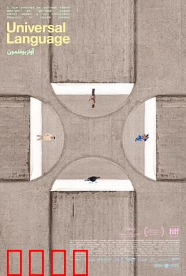 共同的语言：移民的桥梁