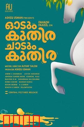 一匹马奔跑，一匹马跳跃：生命的律动