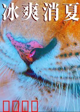 寒冰白血：冰上逆袭