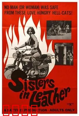 皮衣姐妹：暗夜追凶