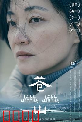 苍山：寻亲迷雾