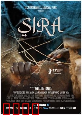 茜拉：逆风翻盘的女王