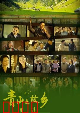 青山是故乡：归乡创业记