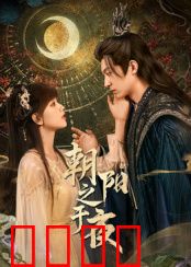 朝阳之于夜：破晓前的抉择