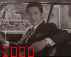 青春恋歌：错过的时光