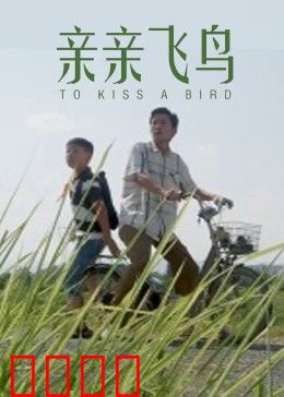 亲亲飞鸟：放飞心灵