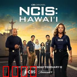 海军罪案调查处：海上谜案