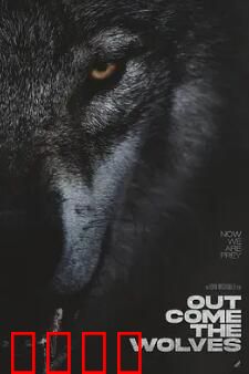 狼群出动：荒野生存法则